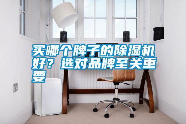 買哪個牌子的除濕機好？選對品牌至關重要