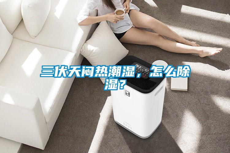 三伏天悶熱潮濕，怎么除濕？