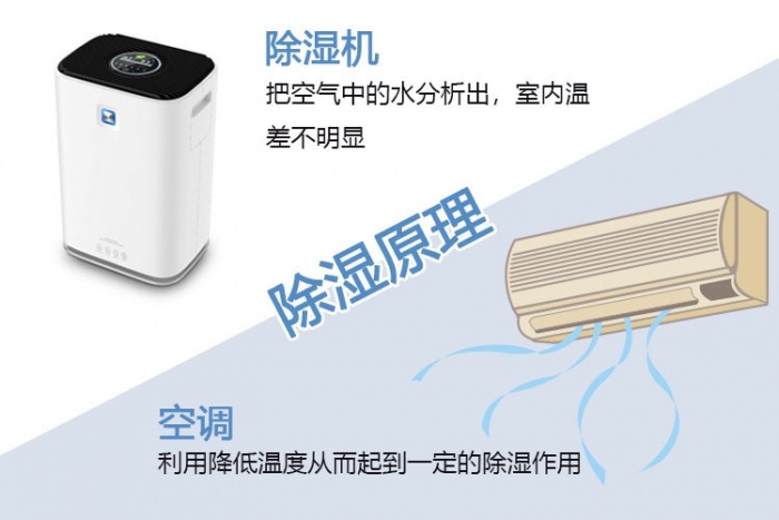 使用除濕機對于哮喘有什么幫助?