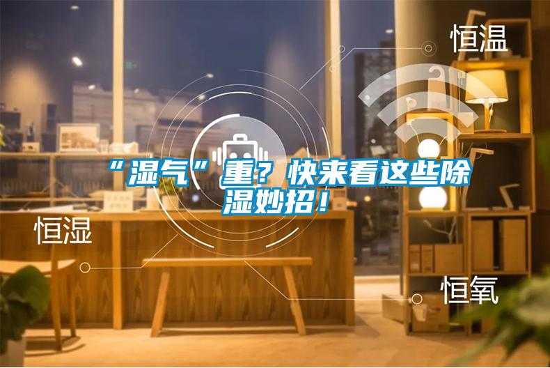 “濕氣”重？快來看這些除濕妙招！