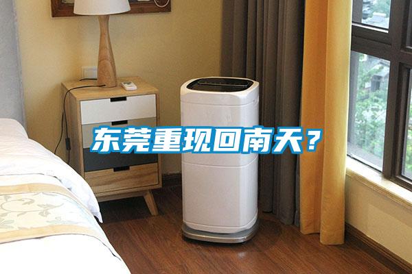 東莞重現回南天？