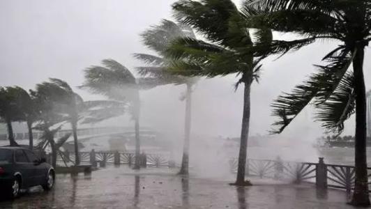 8月臺風雨即將來，除濕機還得用起來
