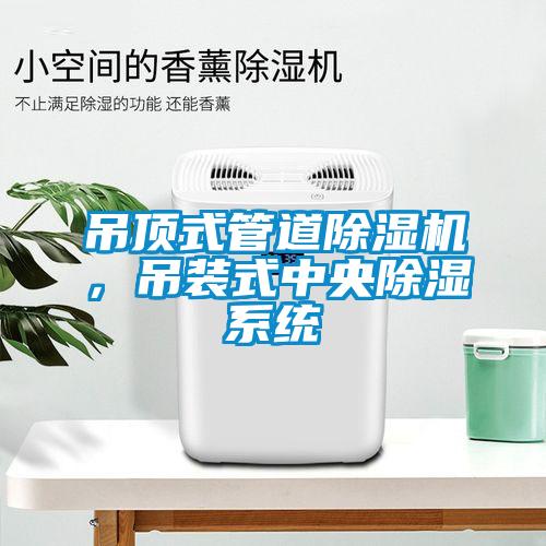 吊頂式管道除濕機,吊裝式中央除濕系統(tǒng)