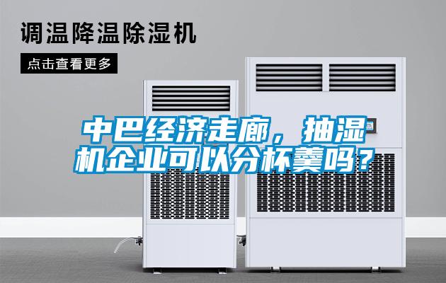 中巴經(jīng)濟(jì)走廊，抽濕機(jī)企業(yè)可以分杯羹嗎？