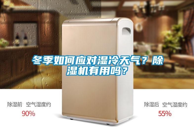 冬季如何應對濕冷天氣？除濕機有用嗎？