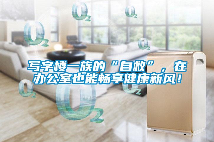 寫字樓一族的“自救”,在辦公室也能暢享健康新風(fēng)!