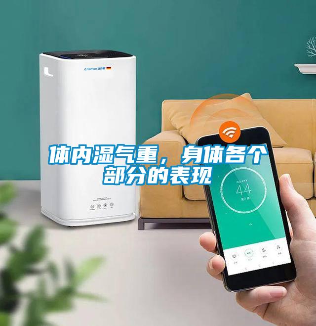 體內濕氣重，身體各個部分的表現
