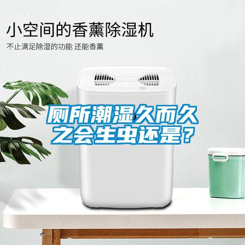 廁所潮濕久而久之會生蟲還是?