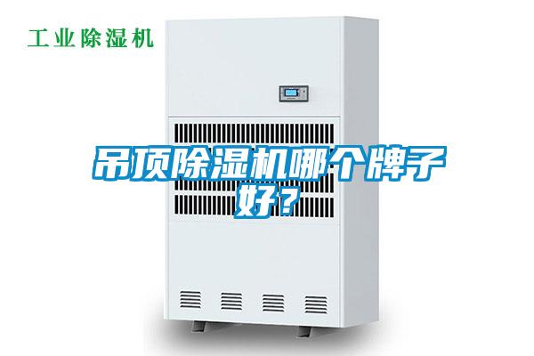 吊頂除濕機哪個牌子好?