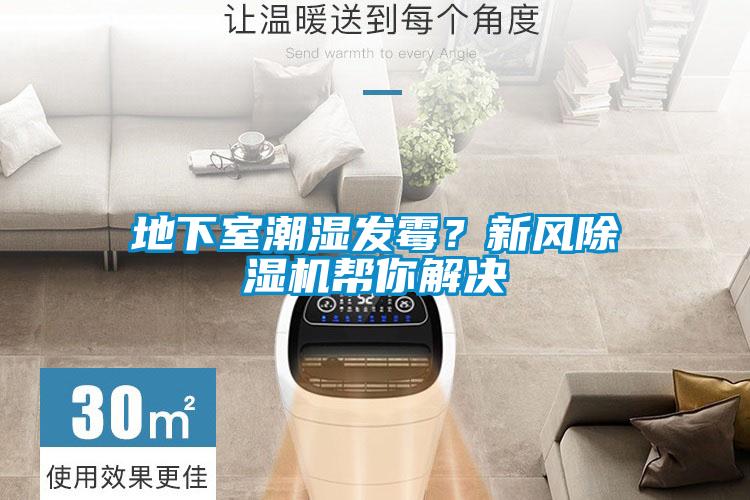 地下室潮濕發(fā)霉？新風(fēng)除濕機(jī)幫你解決