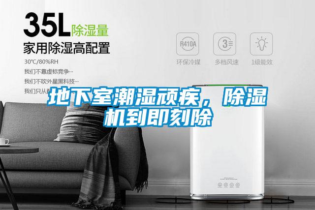 地下室潮濕頑疾,除濕機到即刻除