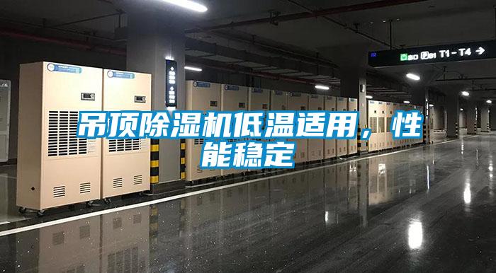 吊頂除濕機低溫適用,性能穩(wěn)定