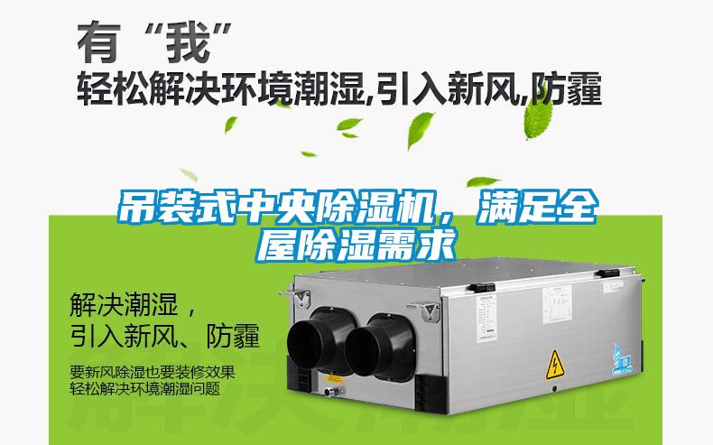 吊裝式中央除濕機,滿足全屋除濕需求