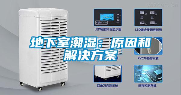地下室潮濕:原因和解決方案