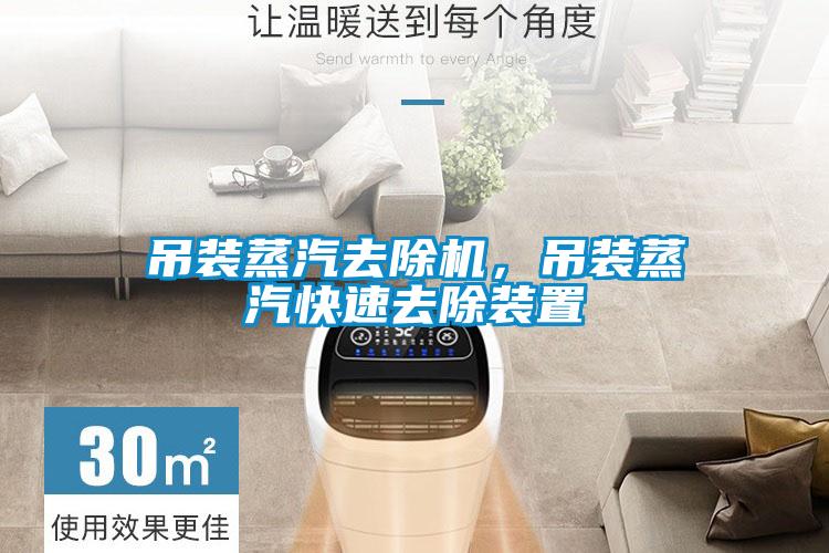 吊裝蒸汽去除機，吊裝蒸汽快速去除裝置