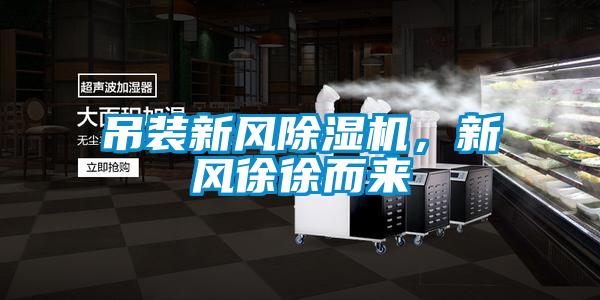 吊裝新風(fēng)除濕機,新風(fēng)徐徐而來