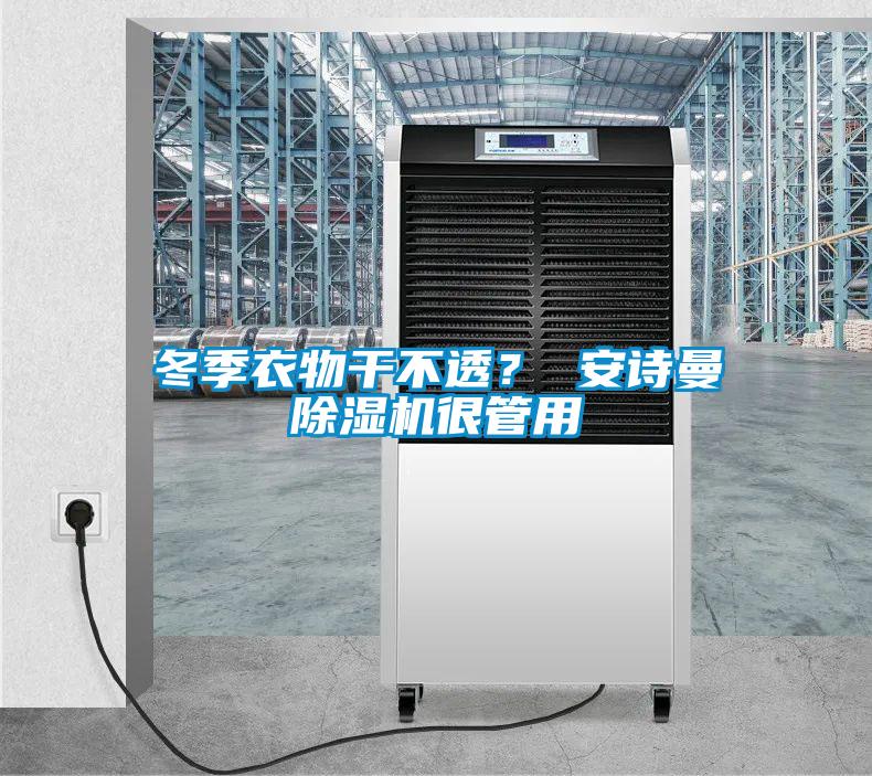 冬季衣物干不透？ 安詩曼除濕機很管用