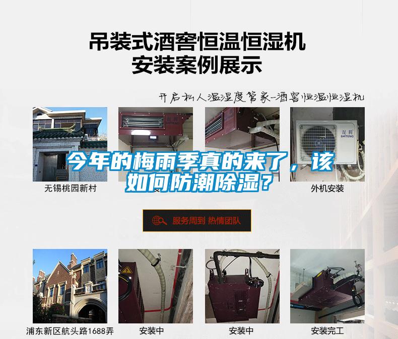 今年的梅雨季真的來了，該如何防潮除濕？