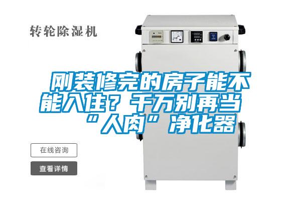 剛裝修完的房子能不能入??？千萬別再當“人肉”凈化器