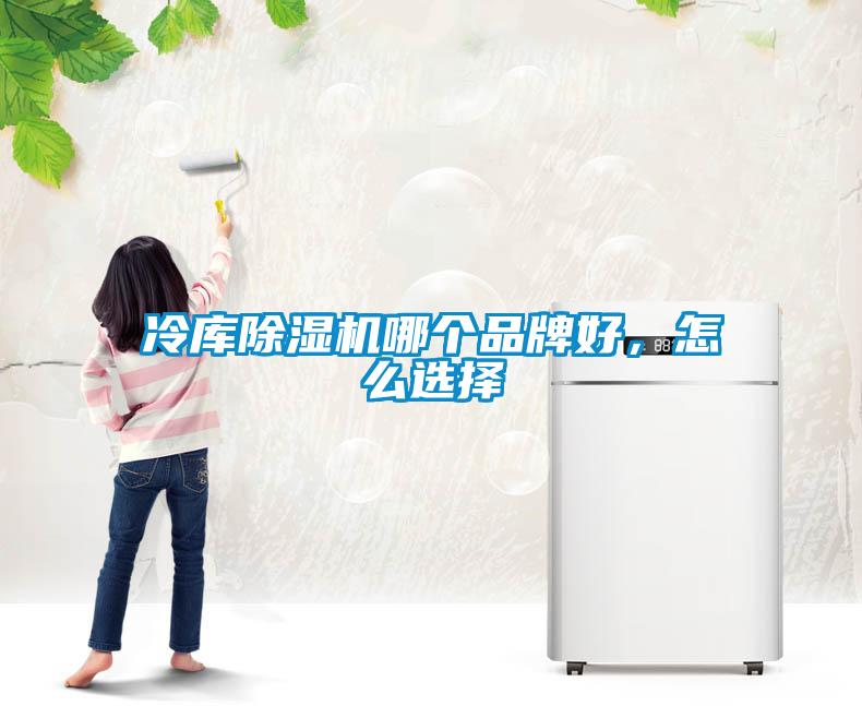 冷庫除濕機哪個品牌好，怎么選擇
