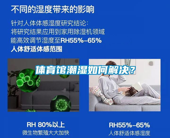 體育館潮濕如何解決?
