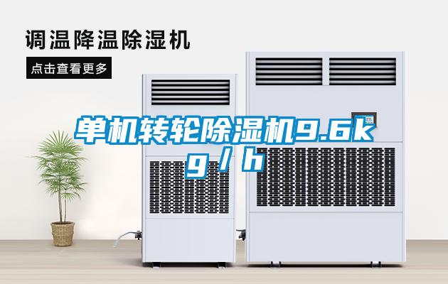 單機轉輪除濕機9.6kg/h