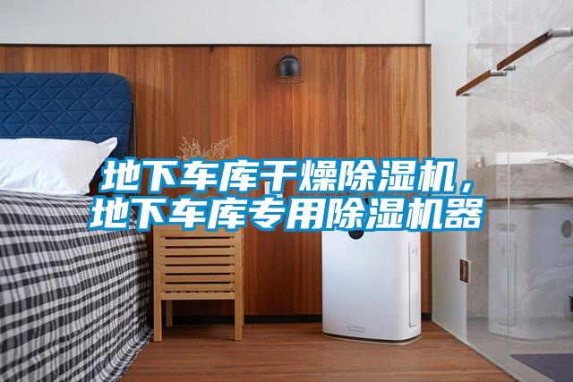地下車庫(kù)干燥除濕機(jī),地下車庫(kù)專用除濕機(jī)器