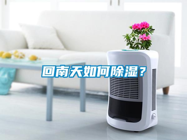 回南天如何除濕？