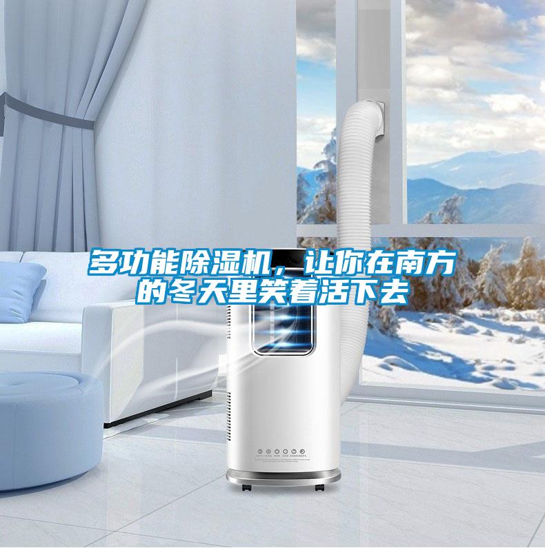 多功能除濕機,讓你在南方的冬天里笑著活下去