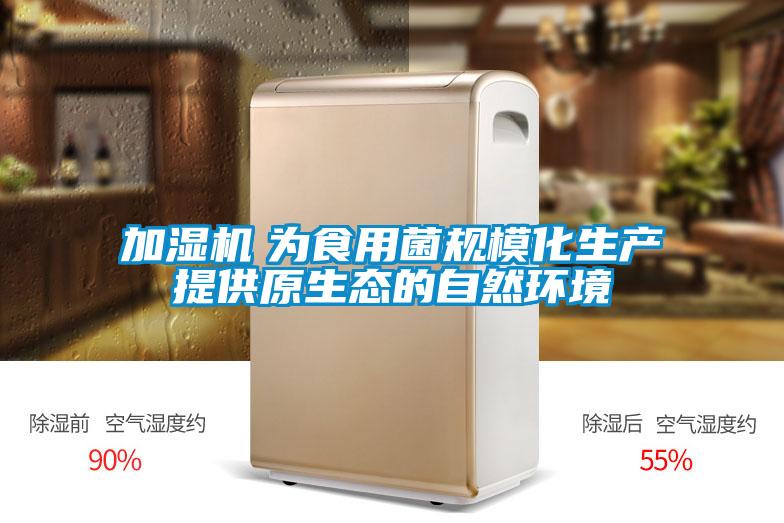 加濕機　為食用菌規?；a提供原生態的自然環境