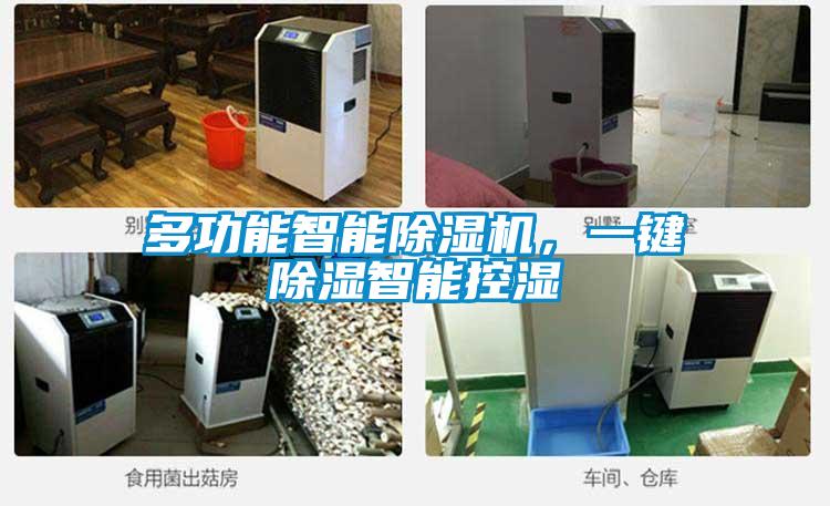 多功能智能除濕機,一鍵除濕智能控濕