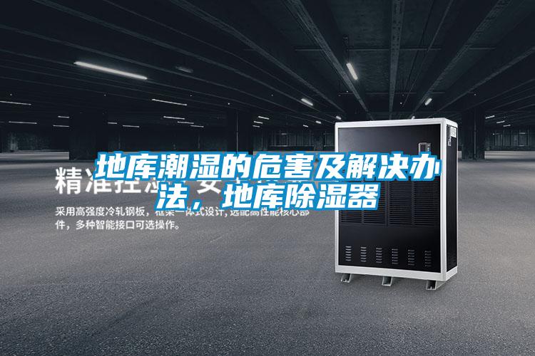 地庫潮濕的危害及解決辦法,地庫除濕器
