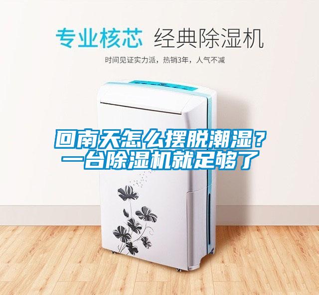 回南天怎么擺脫潮濕？一臺除濕機就足夠了