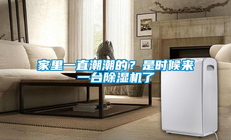 家里一直潮潮的？是時候來一臺除濕機(jī)了