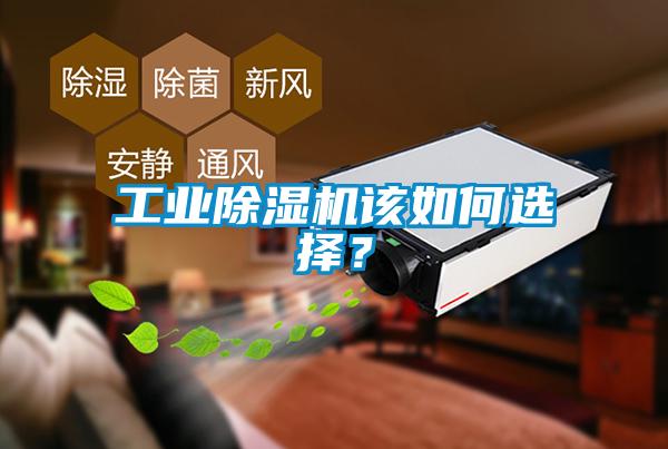 工業(yè)除濕機(jī)該如何選擇?