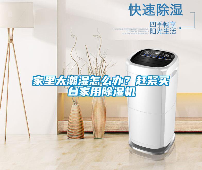 家里太潮濕怎么辦？趕緊買臺家用除濕機