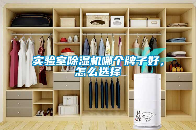 實驗室除濕機哪個牌子好，怎么選擇