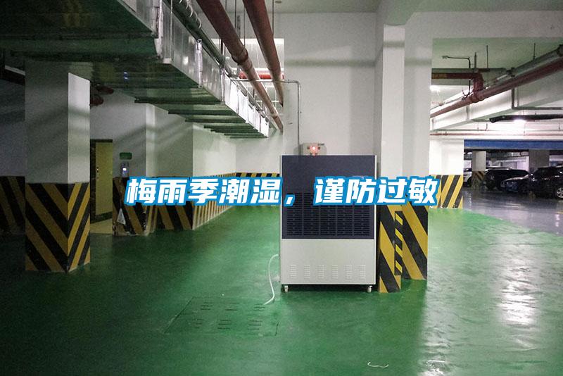 梅雨季潮濕，謹防過敏