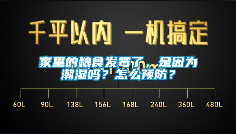 家里的糧食發霉了，是因為潮濕嗎？怎么預防？