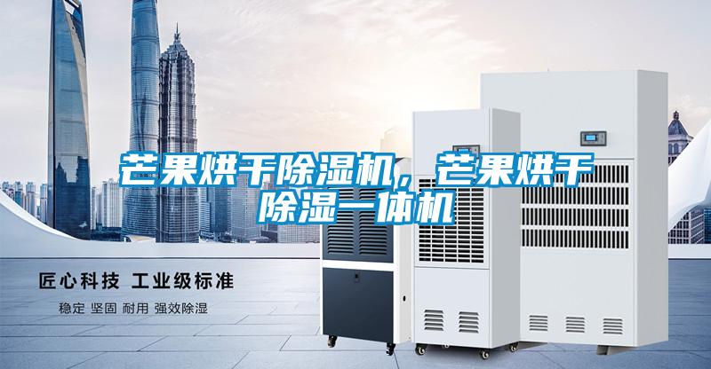 芒果烘干除濕機,芒果烘干除濕一體機