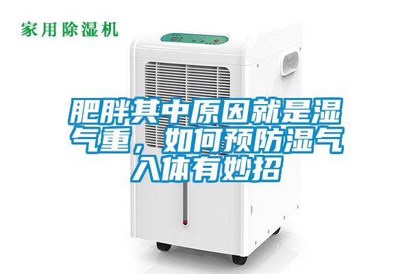 肥胖其中原因就是濕氣重,如何預防濕氣入體有妙招