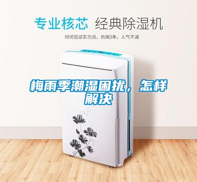 梅雨季潮濕困擾,怎樣解決