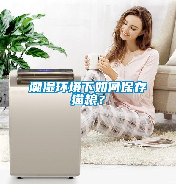 潮濕環境下如何保存貓糧？