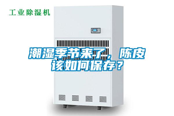潮濕季節來了,陳皮該如何保存?