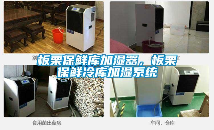 板栗保鮮庫加濕器,板栗保鮮冷庫加濕系統