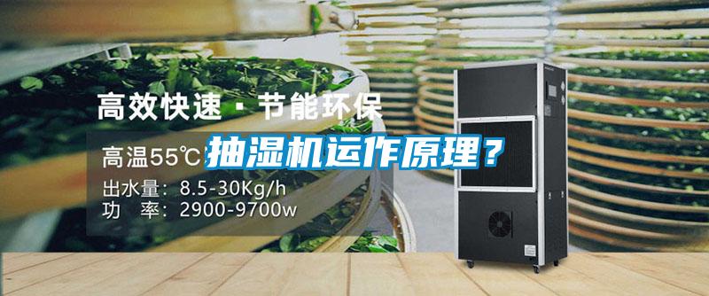 抽濕機運作原理?