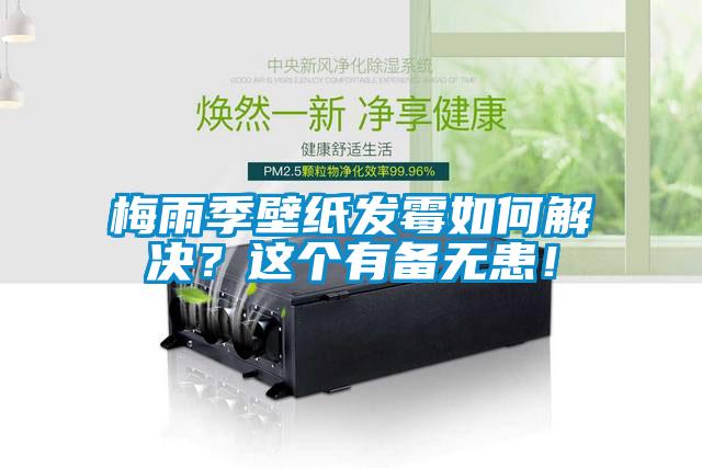 梅雨季壁紙發霉如何解決?這個有備無患!
