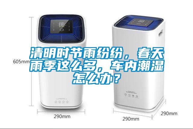 清明時節雨紛紛,春天雨季這么多,車內潮濕怎么辦?