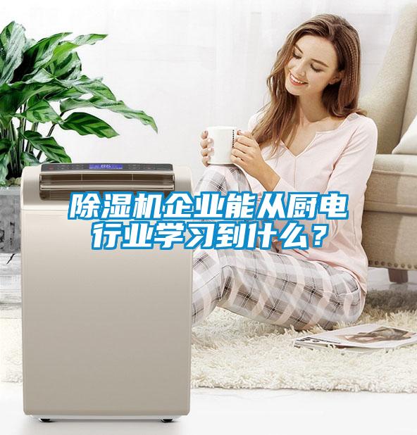 除濕機企業能從廚電行業學習到什么?