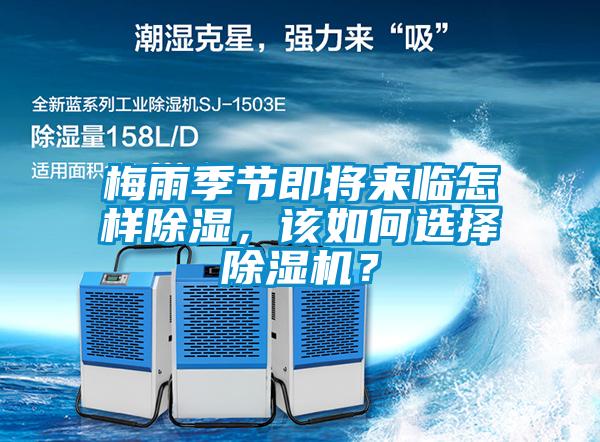 梅雨季節即將來臨怎樣除濕,該如何選擇除濕機?